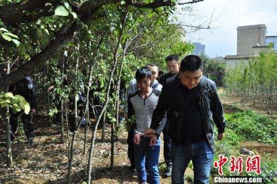 太阳成tyc7111cc官网