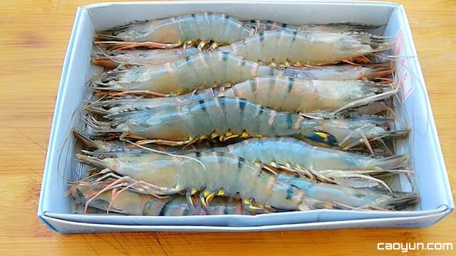 太阳成tyc7111cc官网