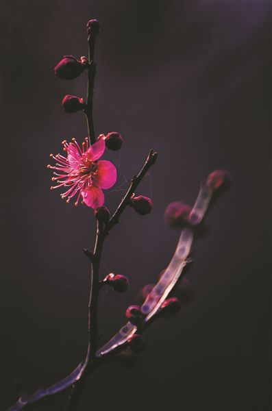 太阳成tyc7111cc官网