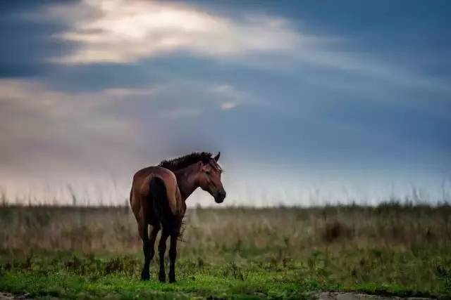 tyc7111cc太阳成集团