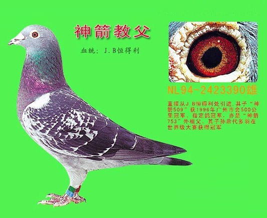 tyc7111cc太阳成集团