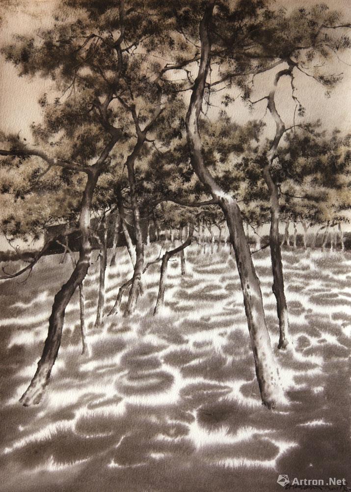 太阳成tyc7111cc官网