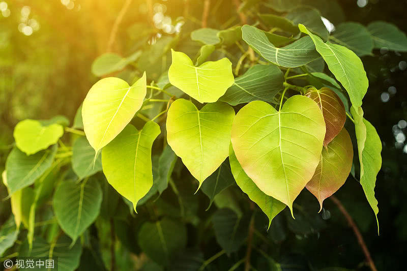 tyc7111cc太阳成集团