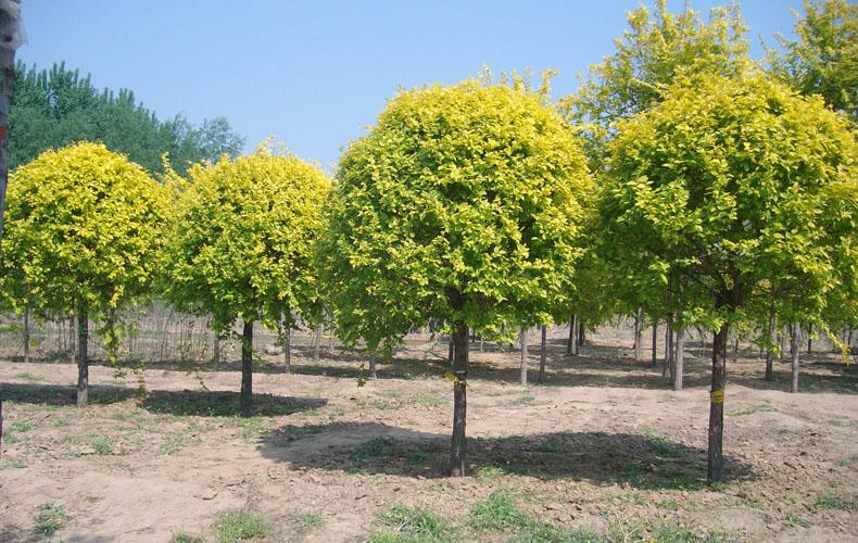 太阳成tyc7111cc官网