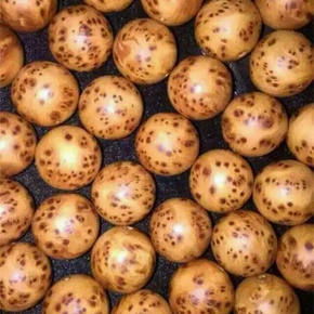 太阳成tyc7111cc官网