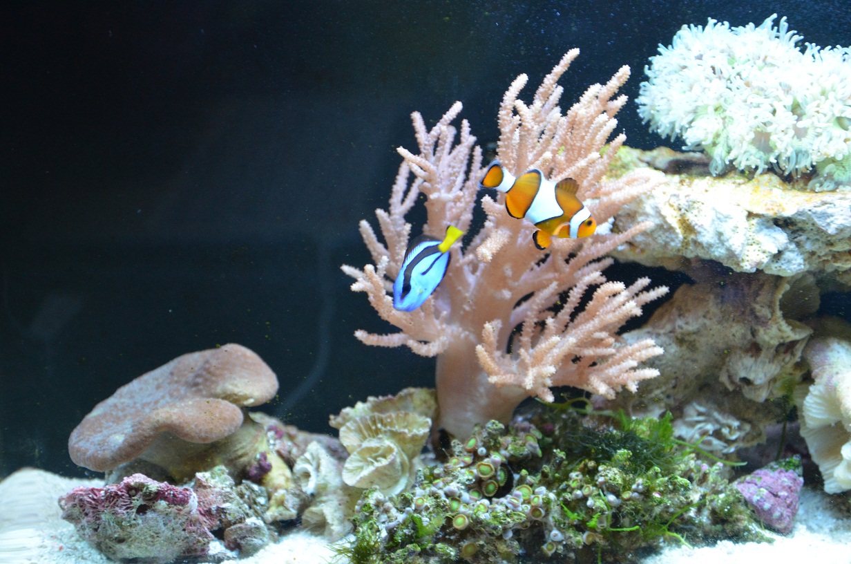 太阳成tyc7111cc官网