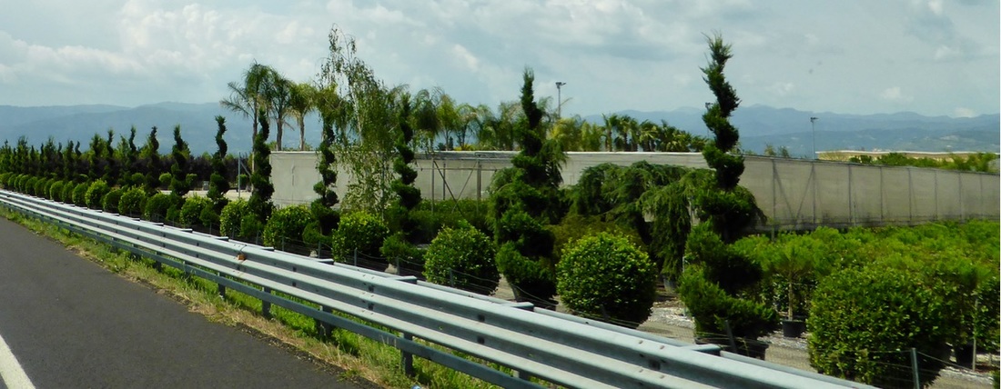 tyc7111cc太阳成集团