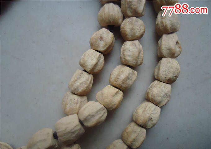 tyc7111cc太阳成集团