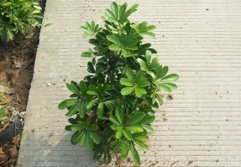 tyc7111cc太阳成集团